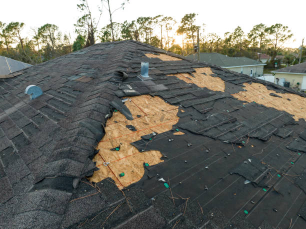 Siding in Rocky Point, NC